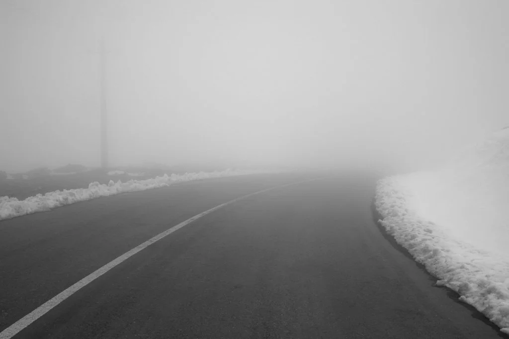 2007_Snow_ (1).jpg