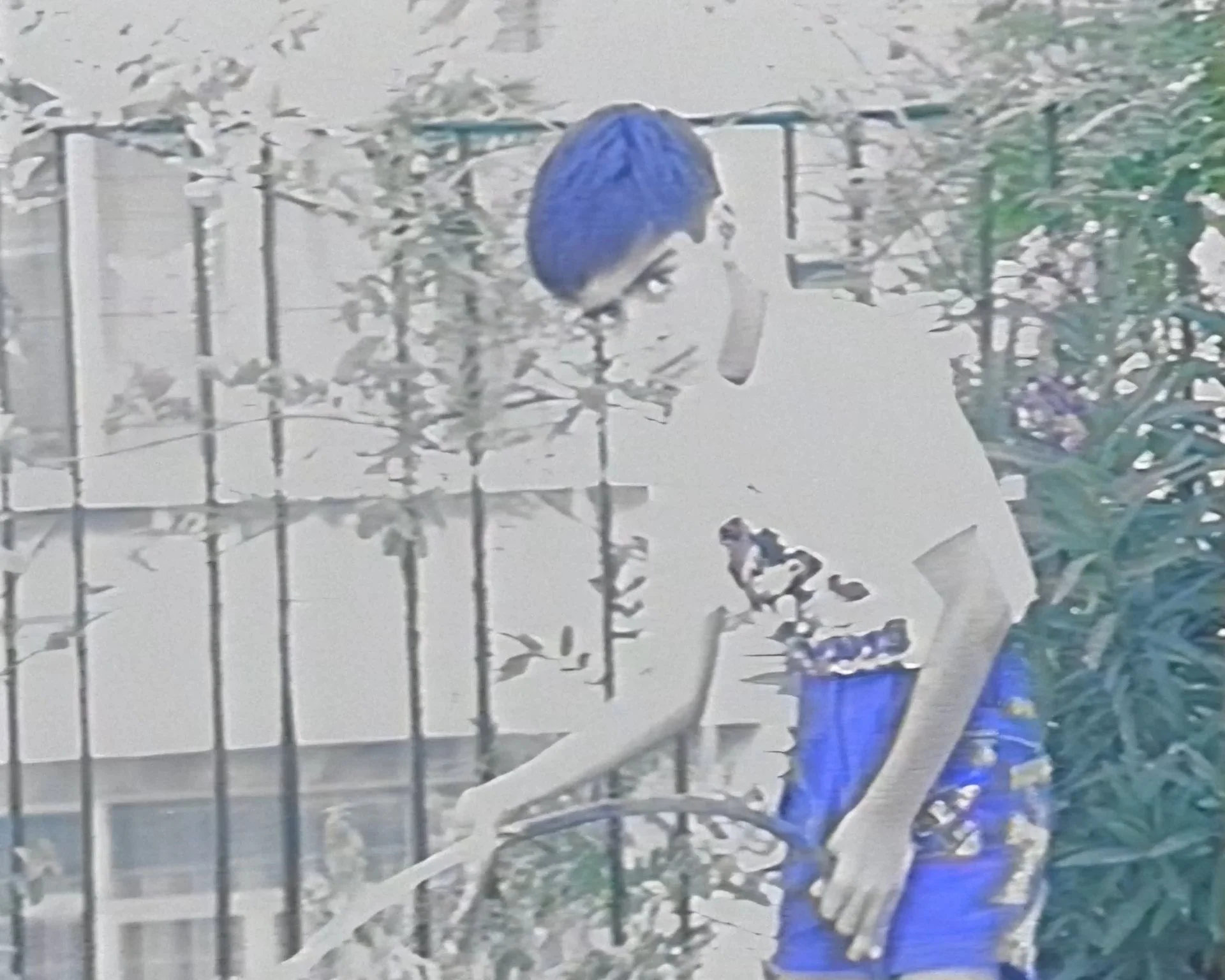 Collateral  Archives_06.jpg