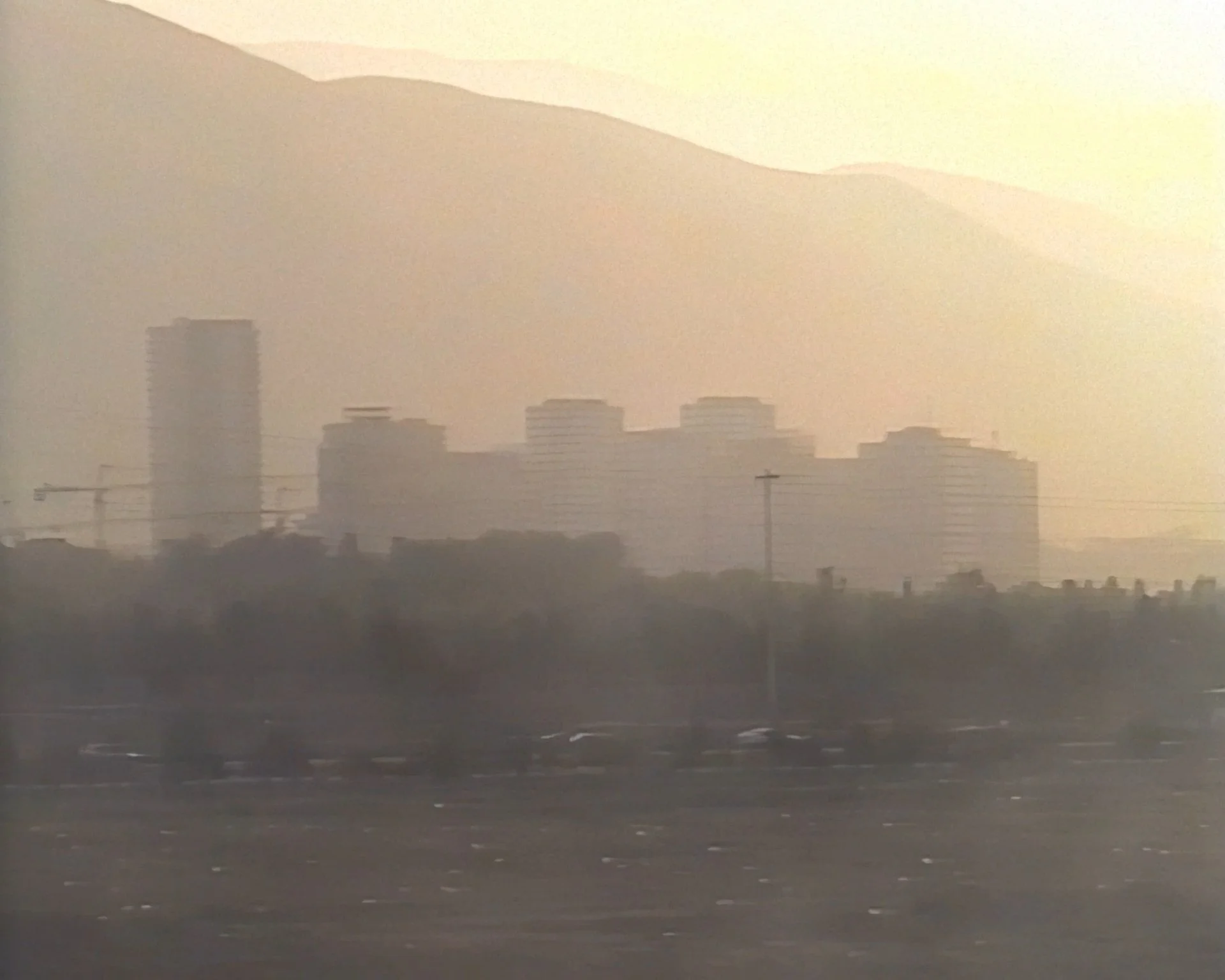 Collateral  Archives_05.jpg