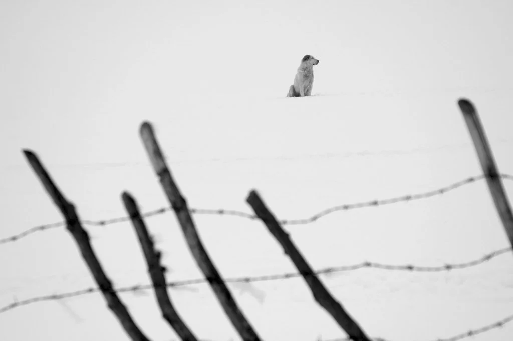 2007_Snow_ (8).jpg