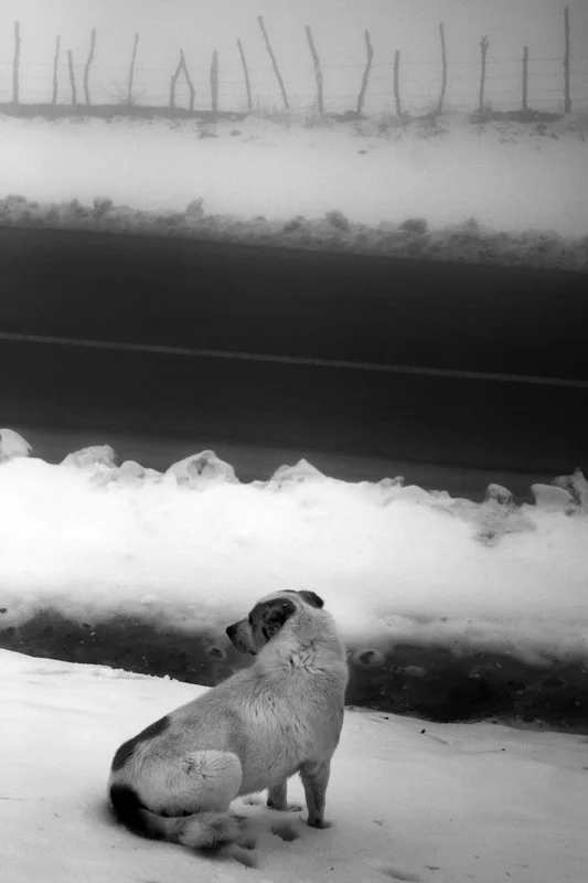 2007_Snow_ (9).jpg