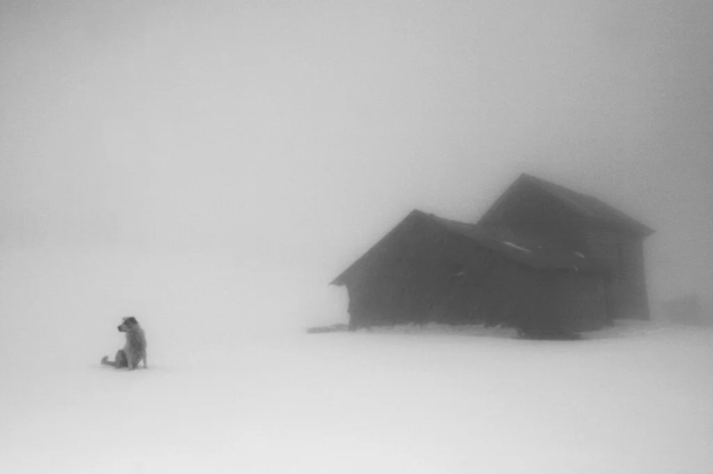 2007_Snow_ (4).jpg