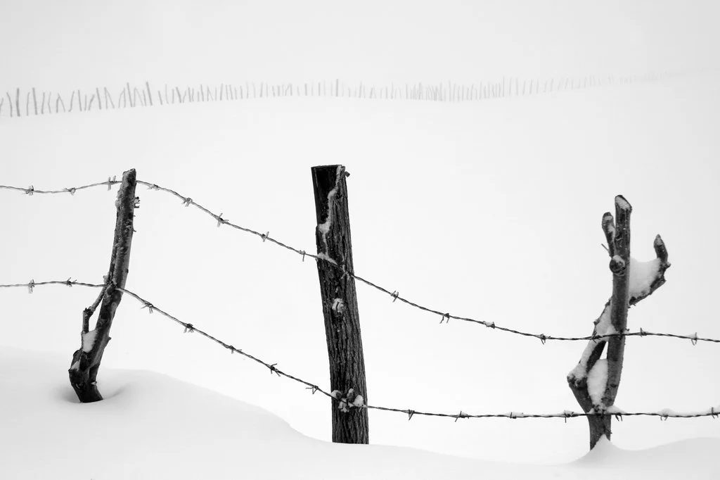 2007_Snow_ (6).jpg