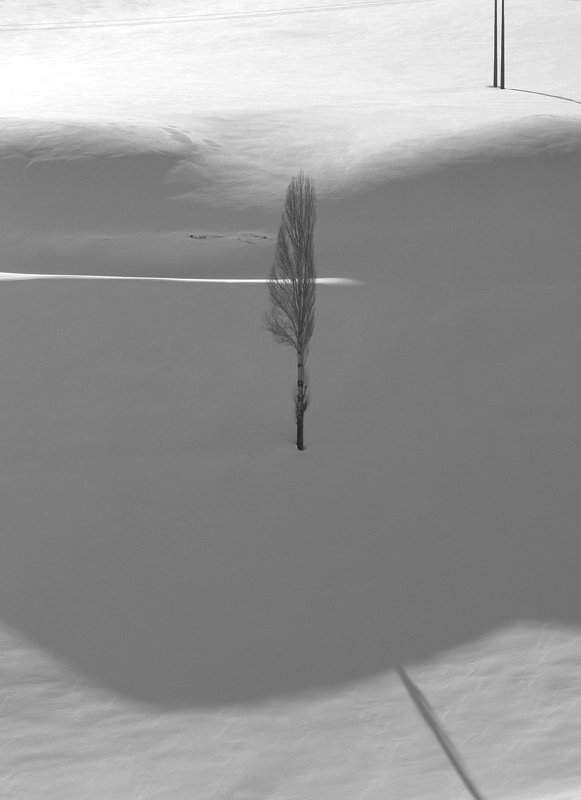 2007_Snow_ (12).jpg