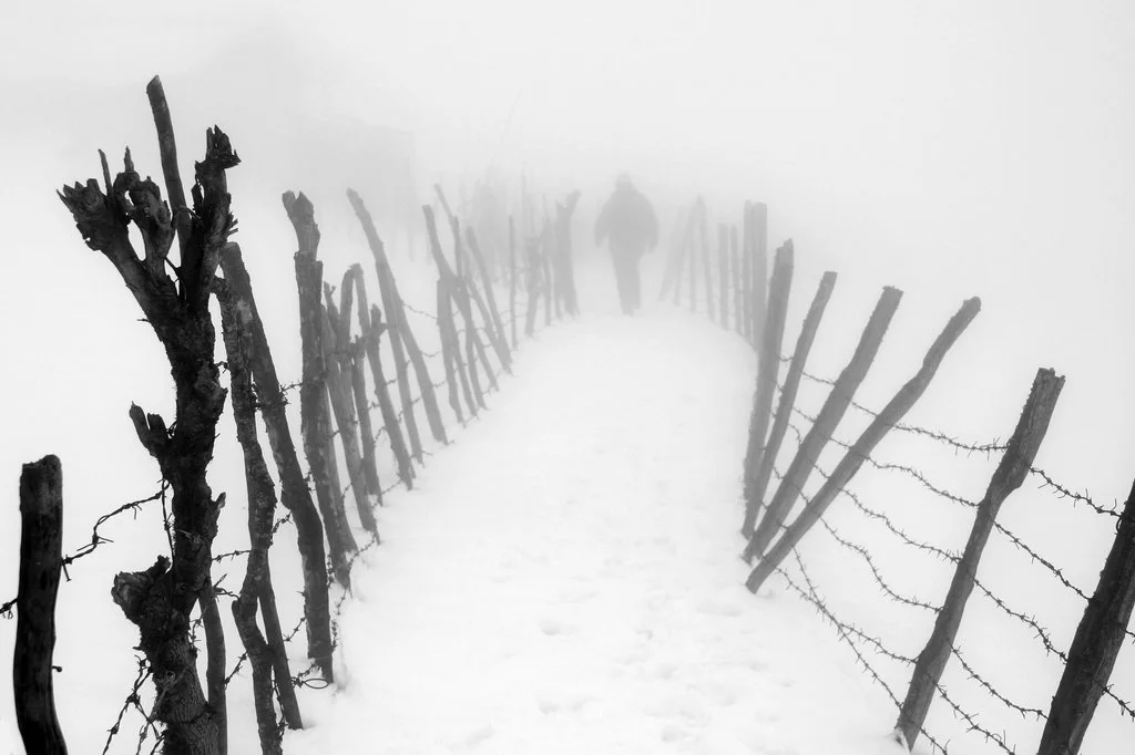 2007_Snow_ (2).jpg