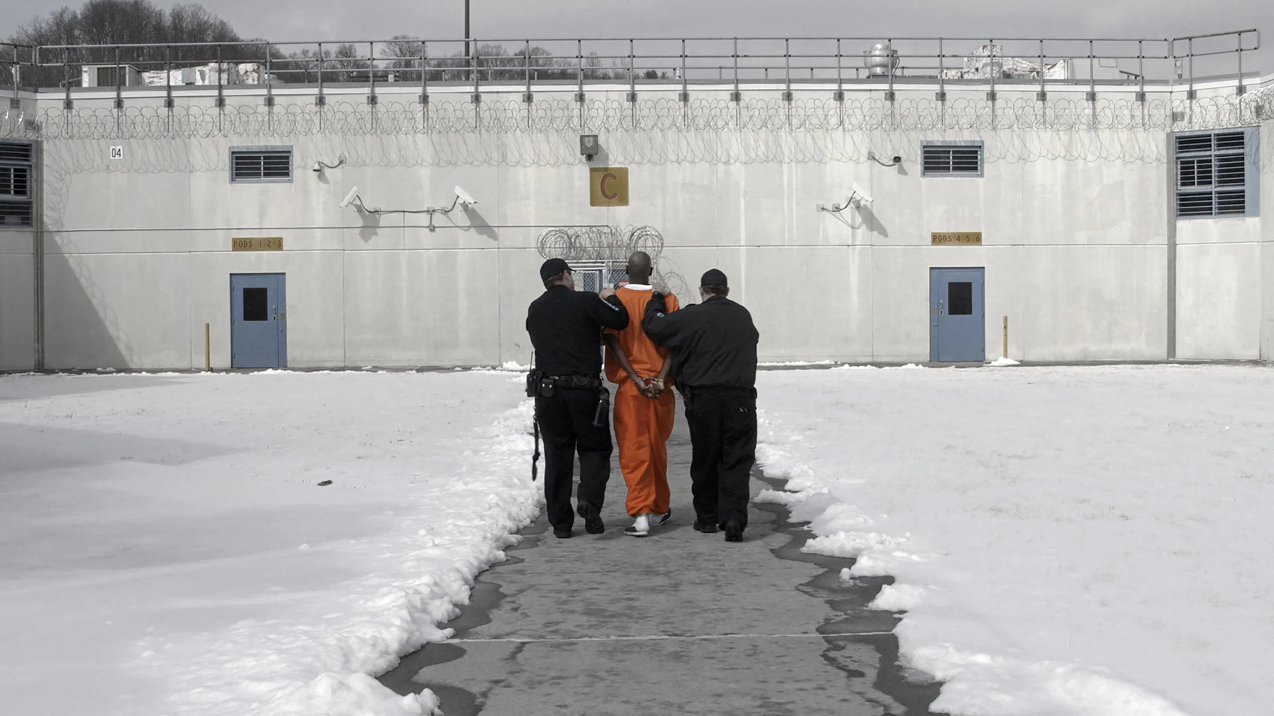 PosterWalk1 no text.jpg