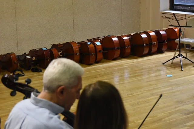 Cellos in a row.jpg