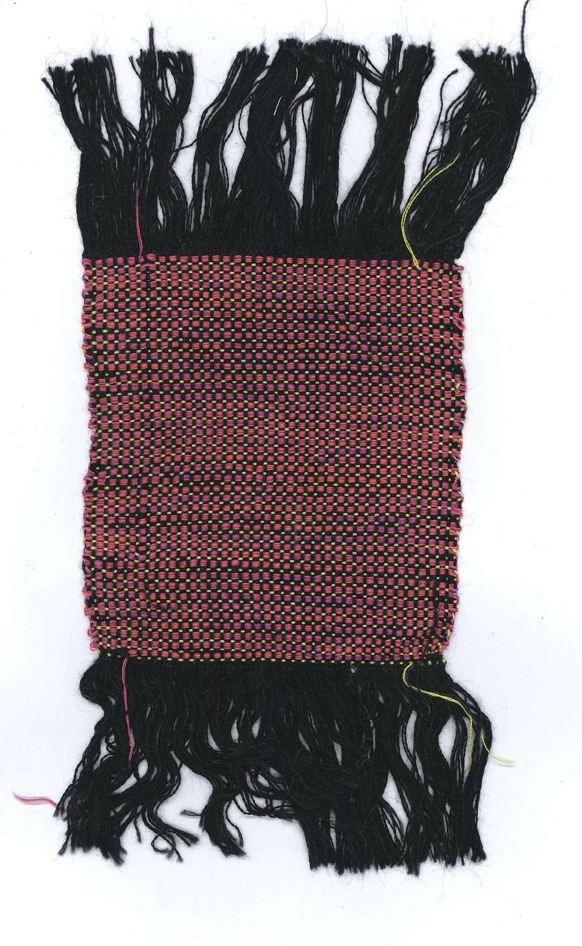 swatch 9.jpg