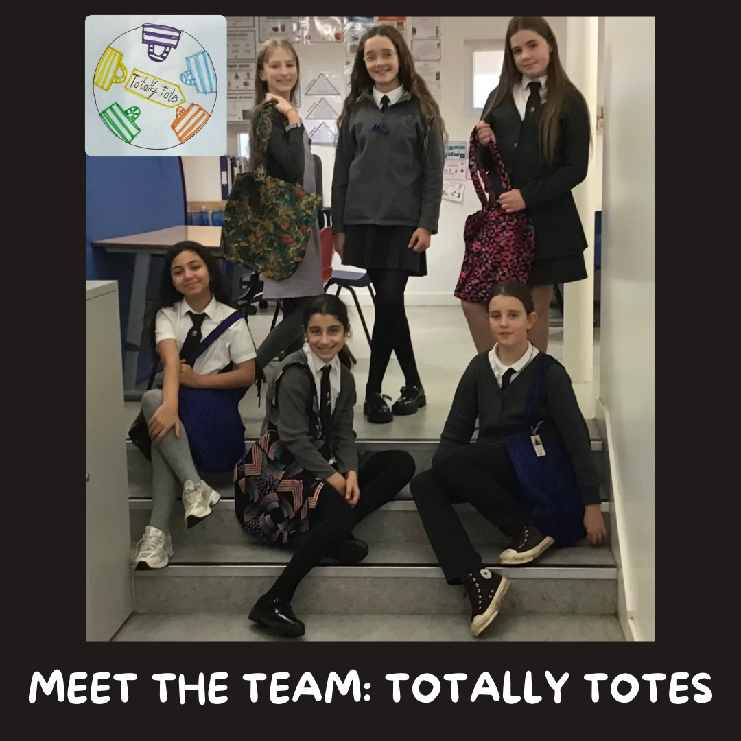 Meet Totally Totes.png