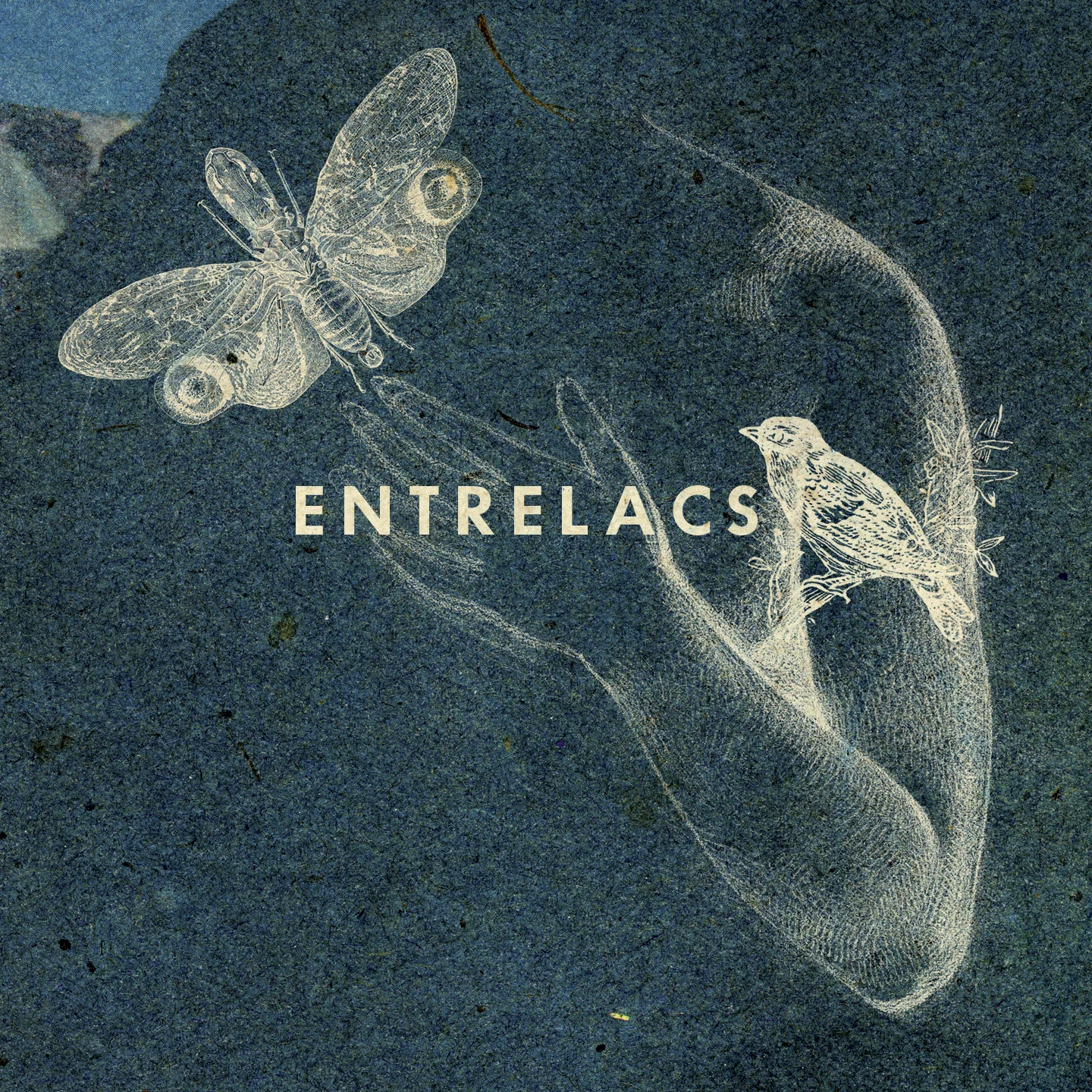 Entrelacs cover.jpg