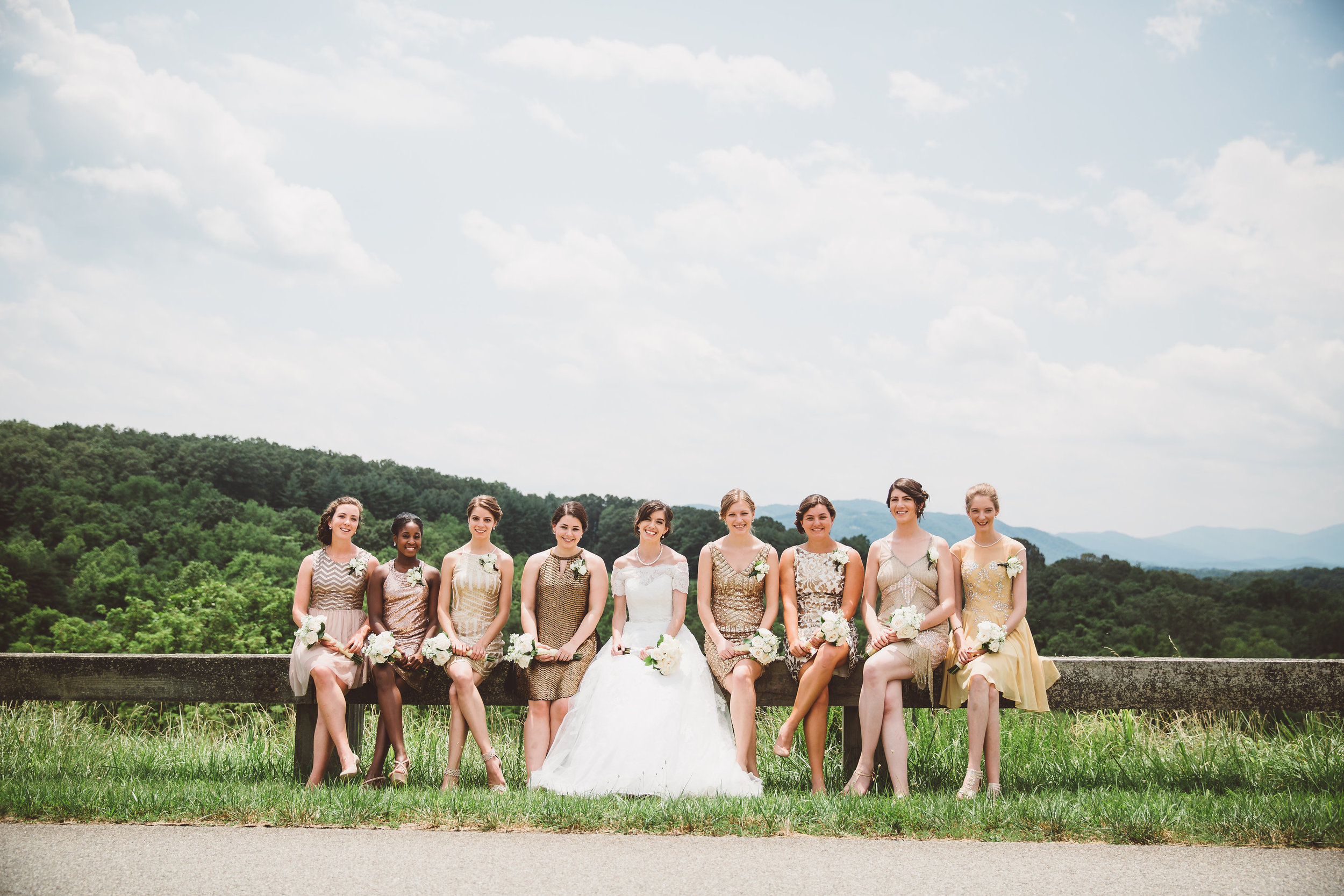 PatrickHenry-Weddings-WeddingPhotographer-PatCoriPhotography(517of1267).jpg