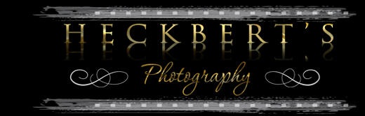 Heckbert's Photography Summerside