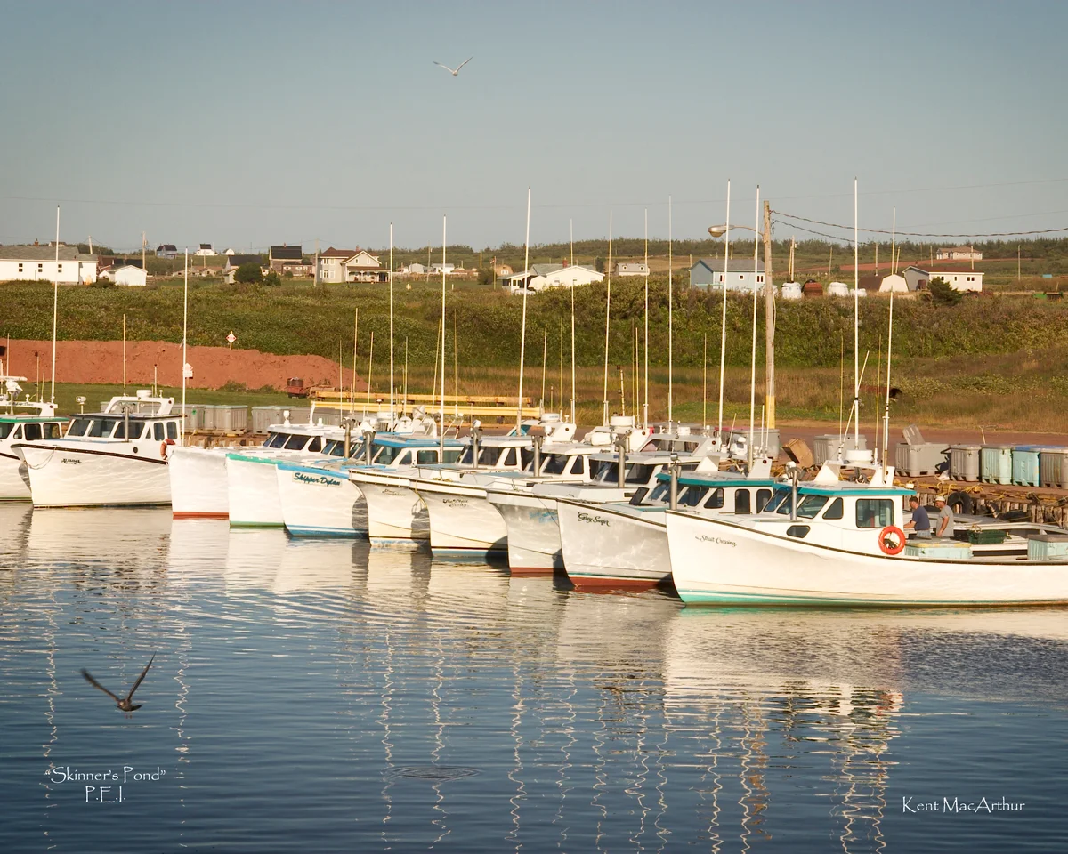 Skinner's Pond(P.E.I.).jpg
