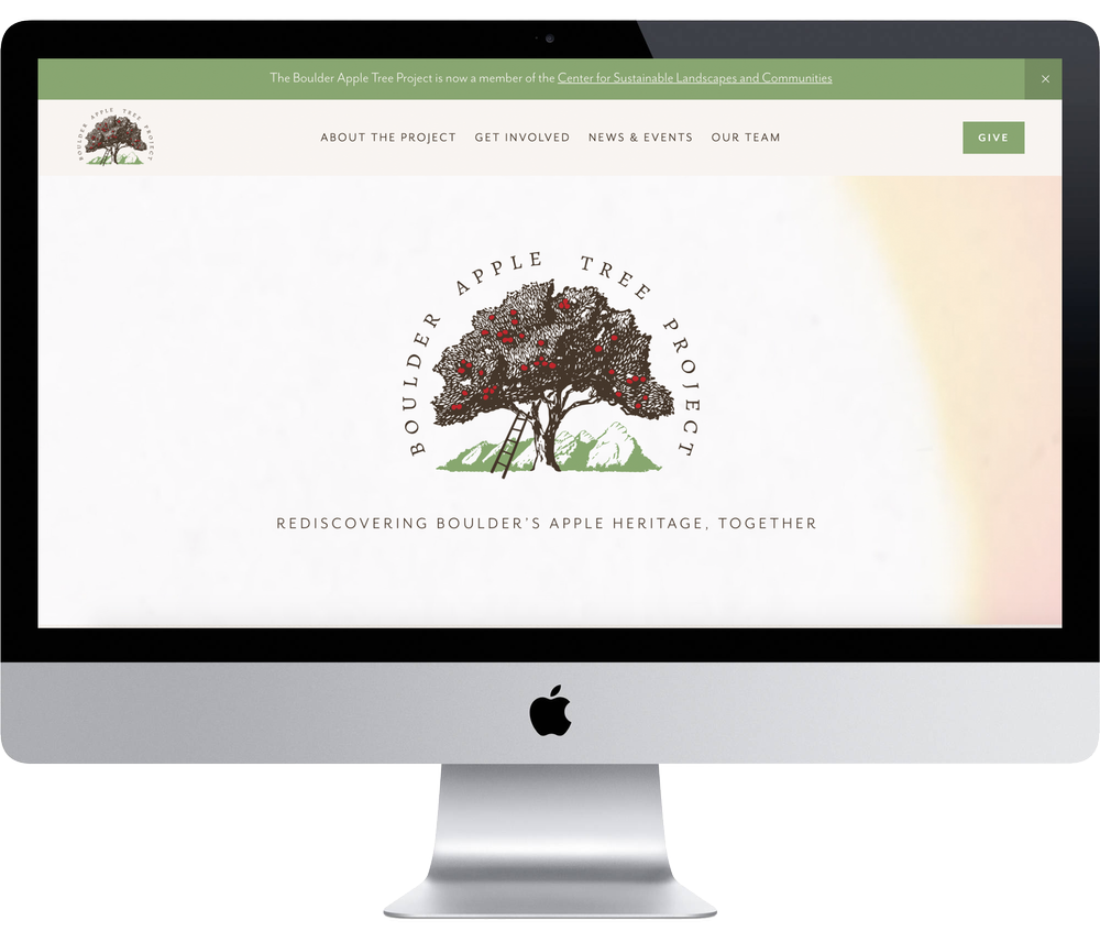 Batp | Photography + website design + brand strategy — Impact Media Lab |  For Bigger, Bolder Science