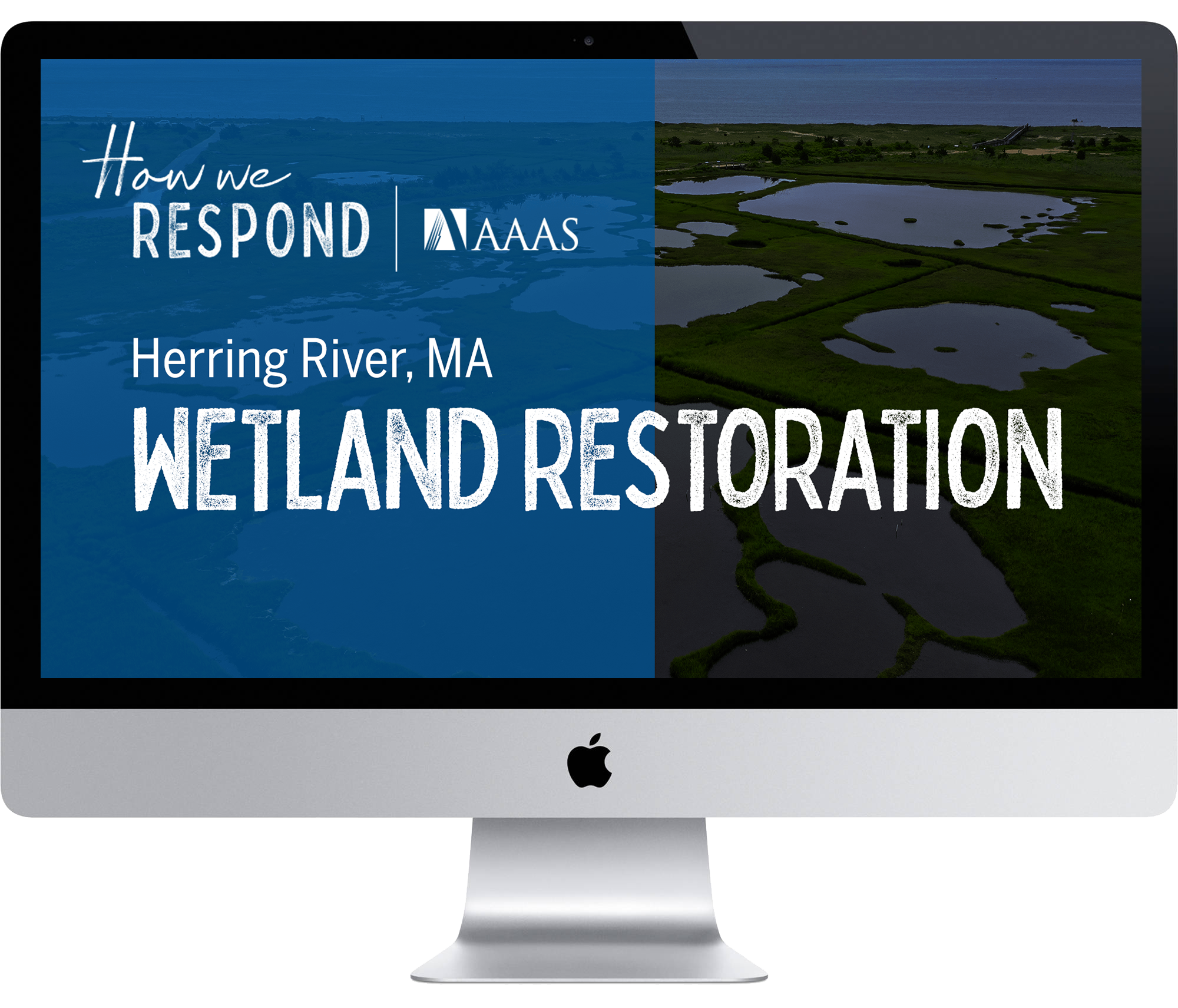 Herring River - Wetlands
