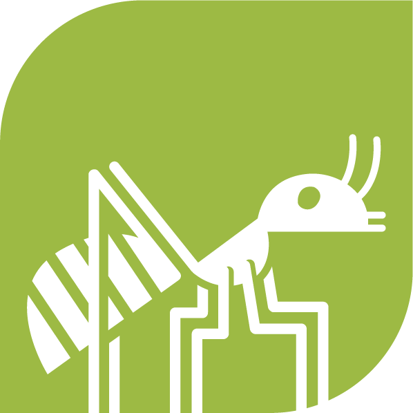 PringleLab-Logo_Ant-Leaf-Icon-Green.png