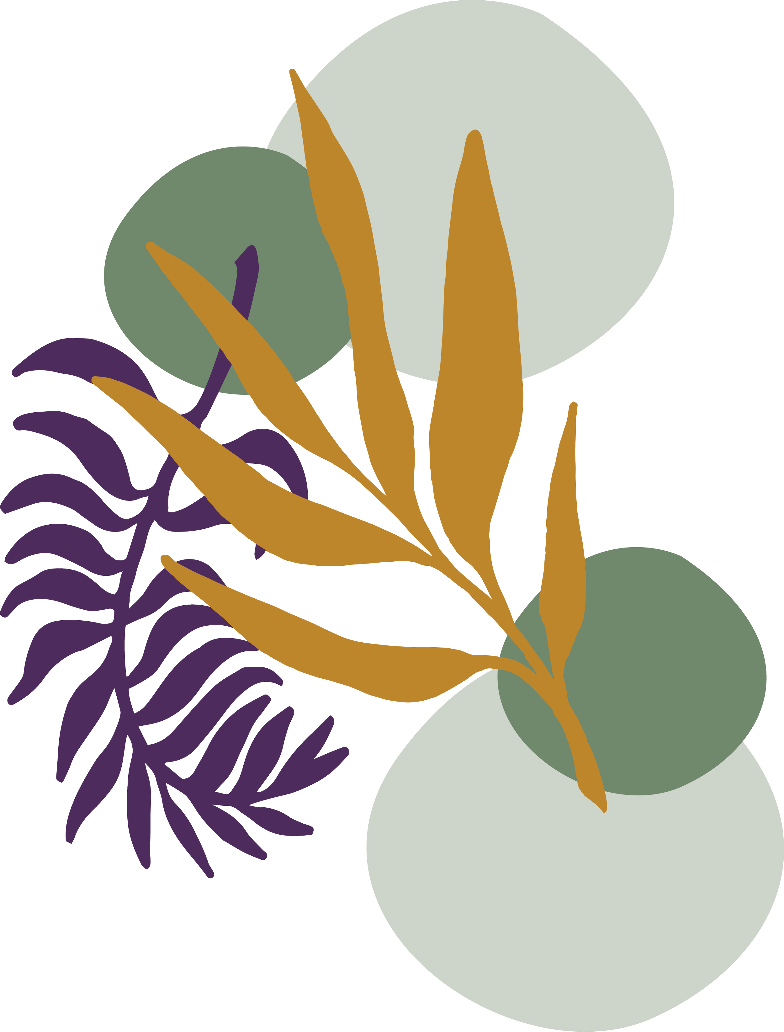 plant illustration-6.png