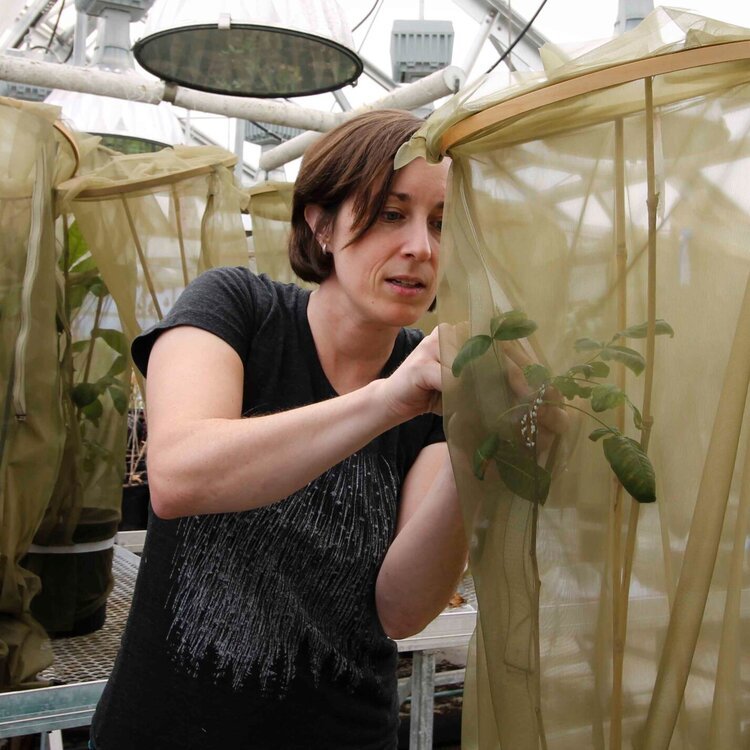 Dr. Kasey Fowler-Finn