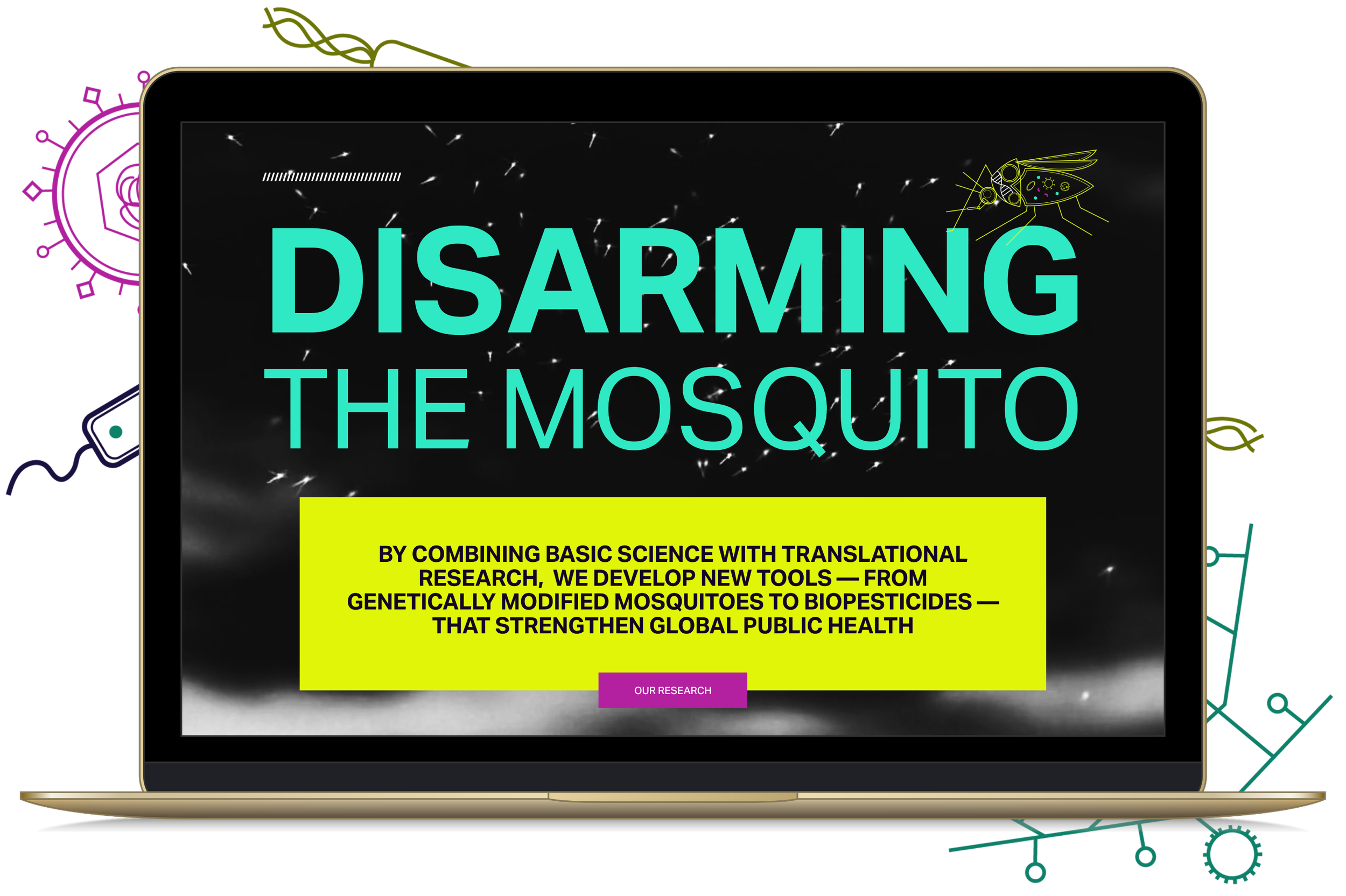 George Dimopoulos Group