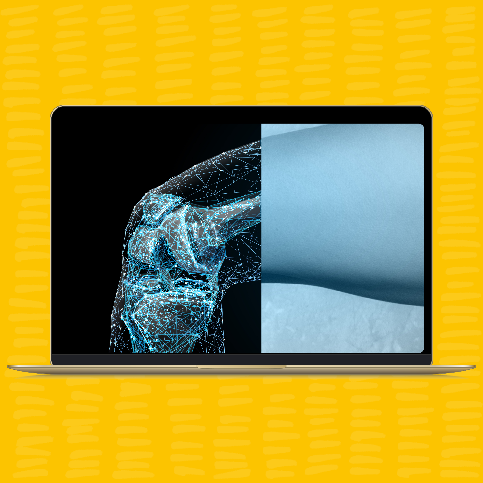 BRAINs Lab at POSTECH — Impact Media Lab | For Bigger, Bolder Science