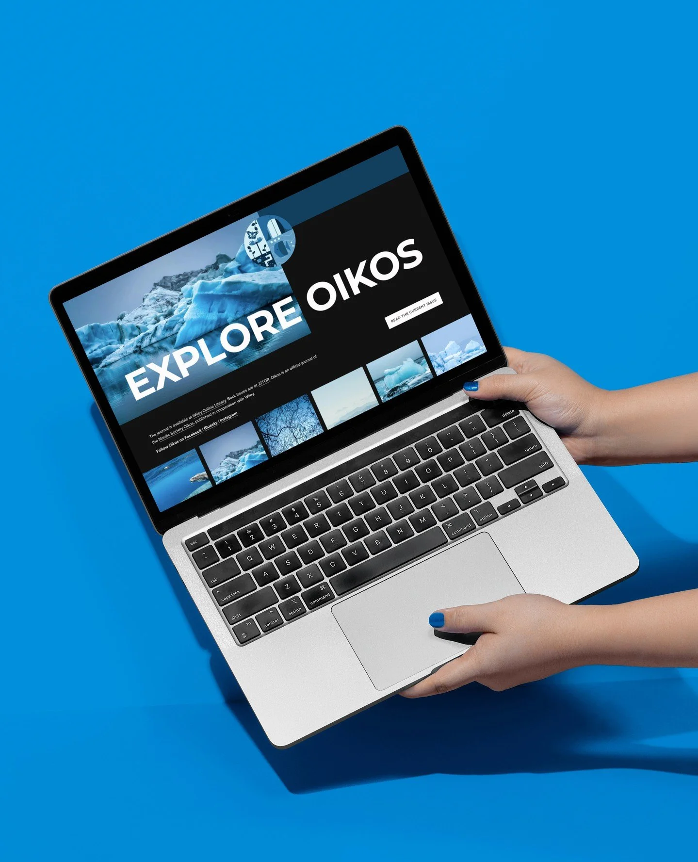 LAUNCHED ✨ A new chapter for Oikos and NSO journals⁠
.⁠
.⁠
For more than 70 years, the Nordic Society Oikos has been a quiet force in ecology &mdash; publishing research that shapes how we understand ecosystems and the natural world.⁠
⁠
Last year, we