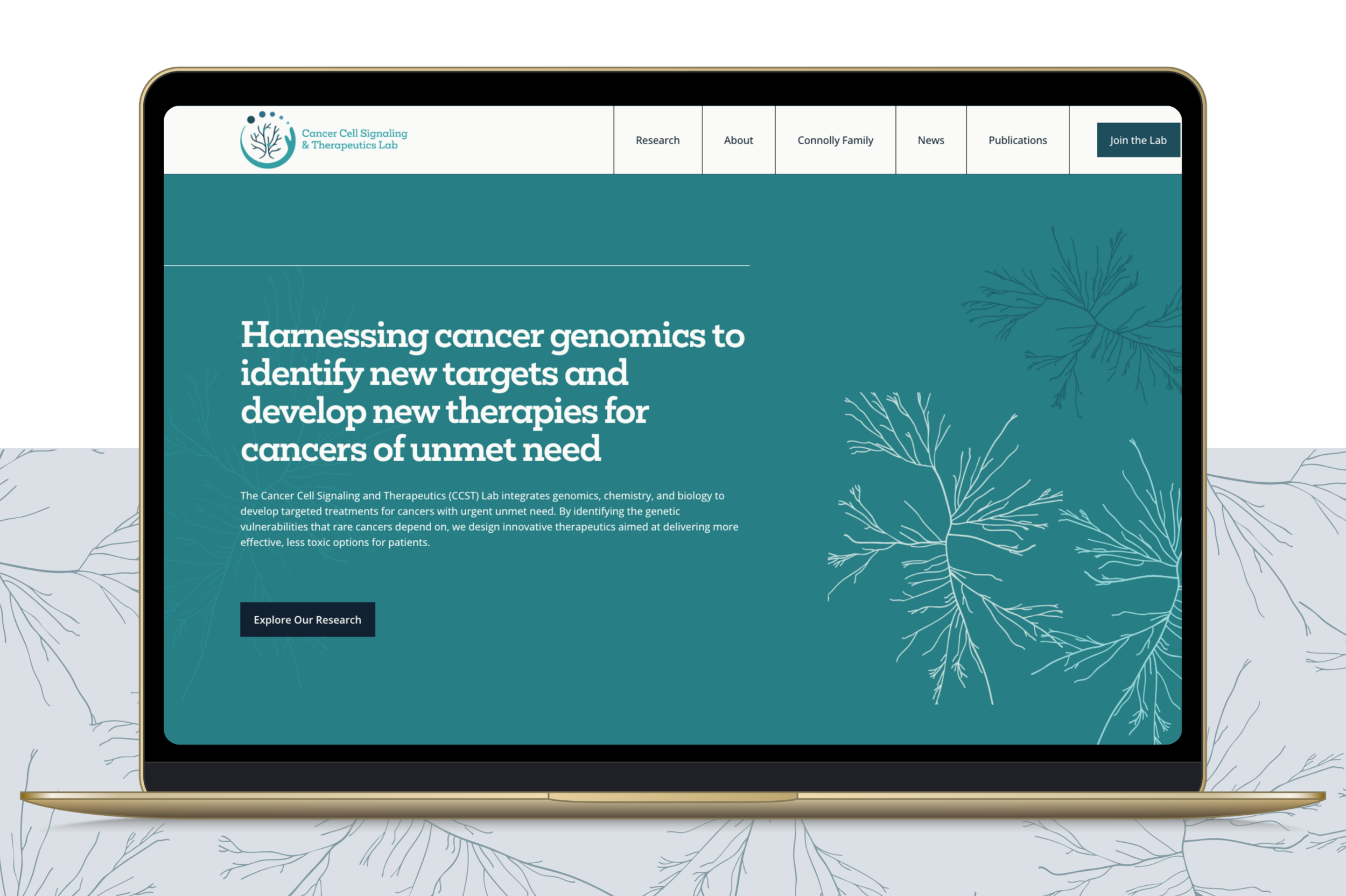 Cancer Cell Signaling and Therapeutics lab