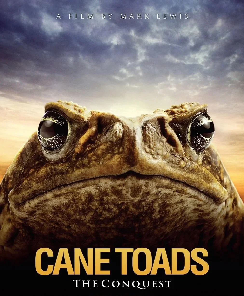 10 Nature Documentaries That Break the Mold