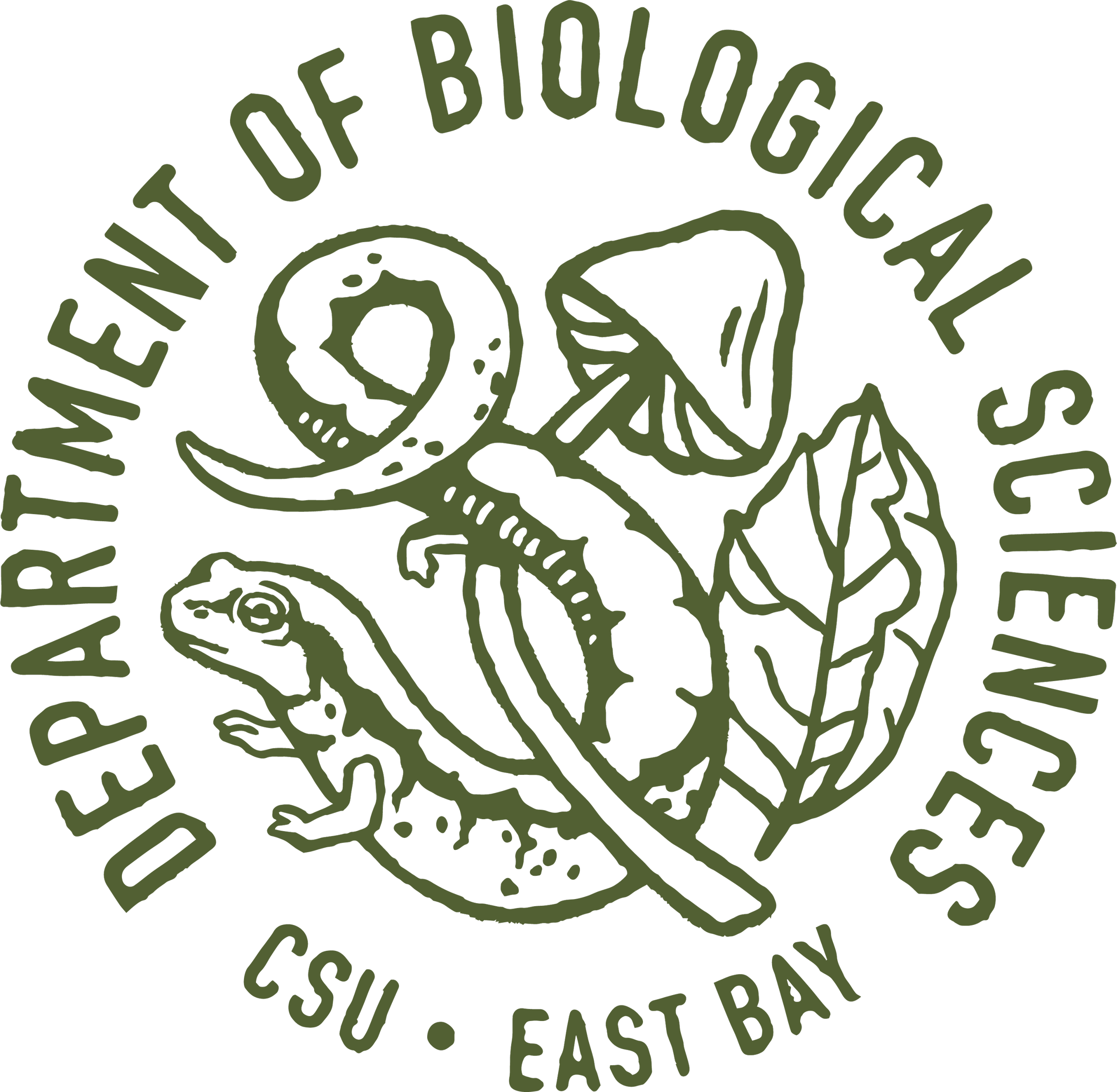 CSUEB-Logo_Green.png