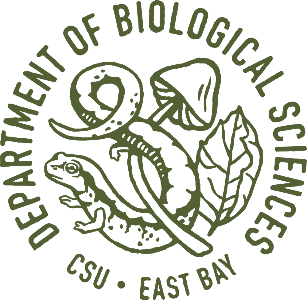 CSUEB-Logo_Green.png