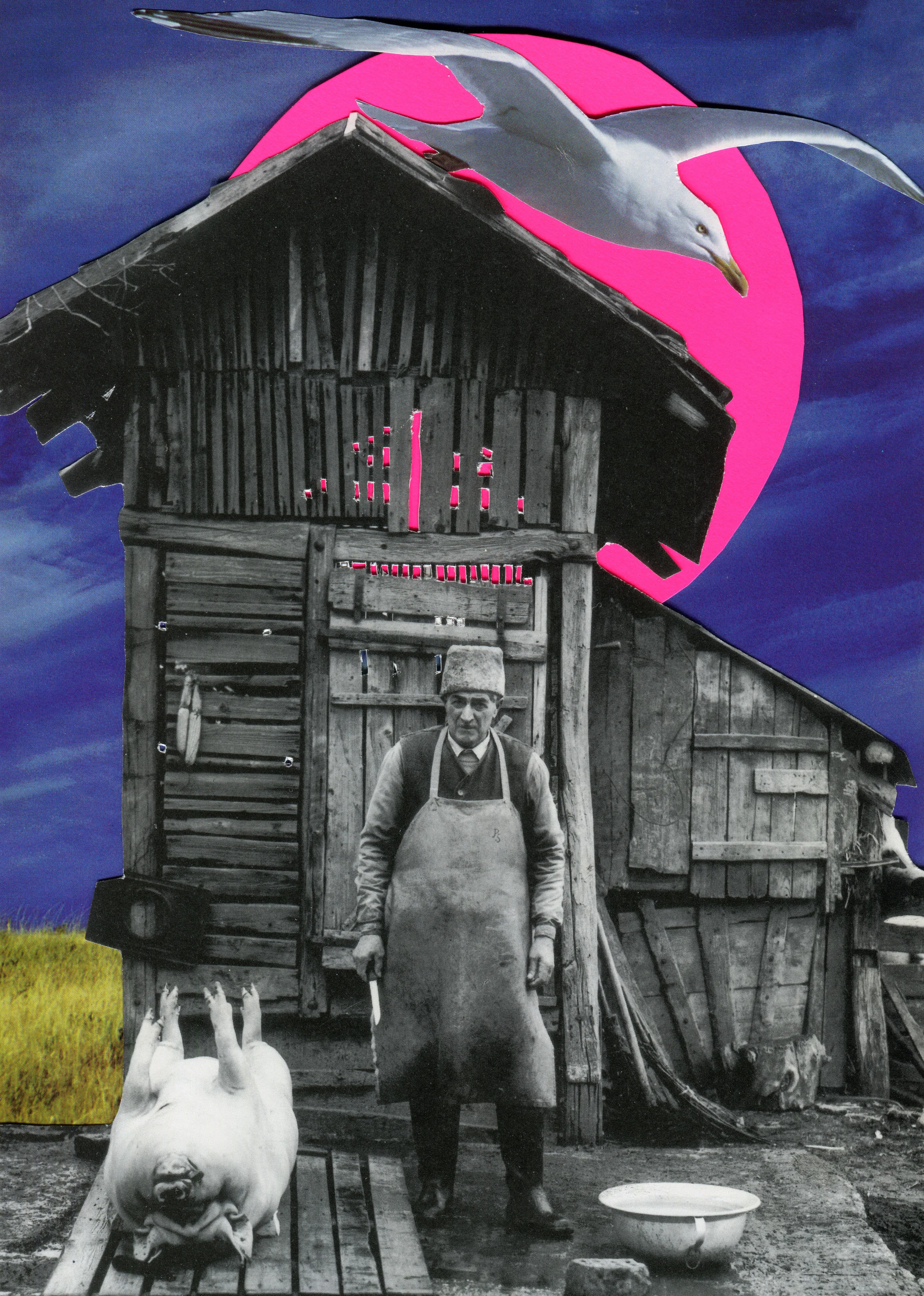 Pink Farm
