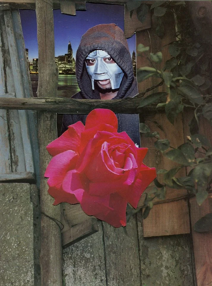 mfbloom.jpg