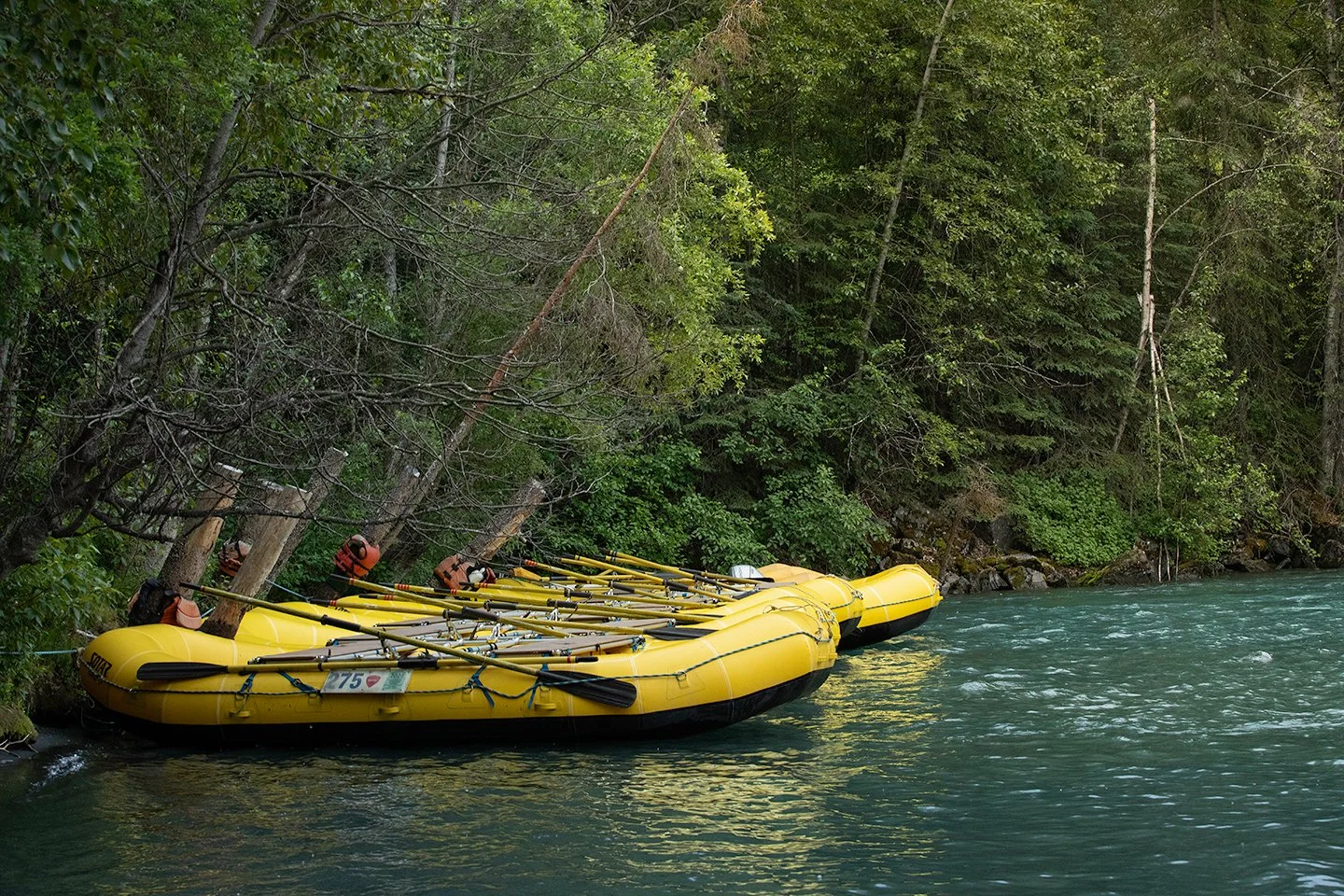 yellow-rubber-rafts.jpg