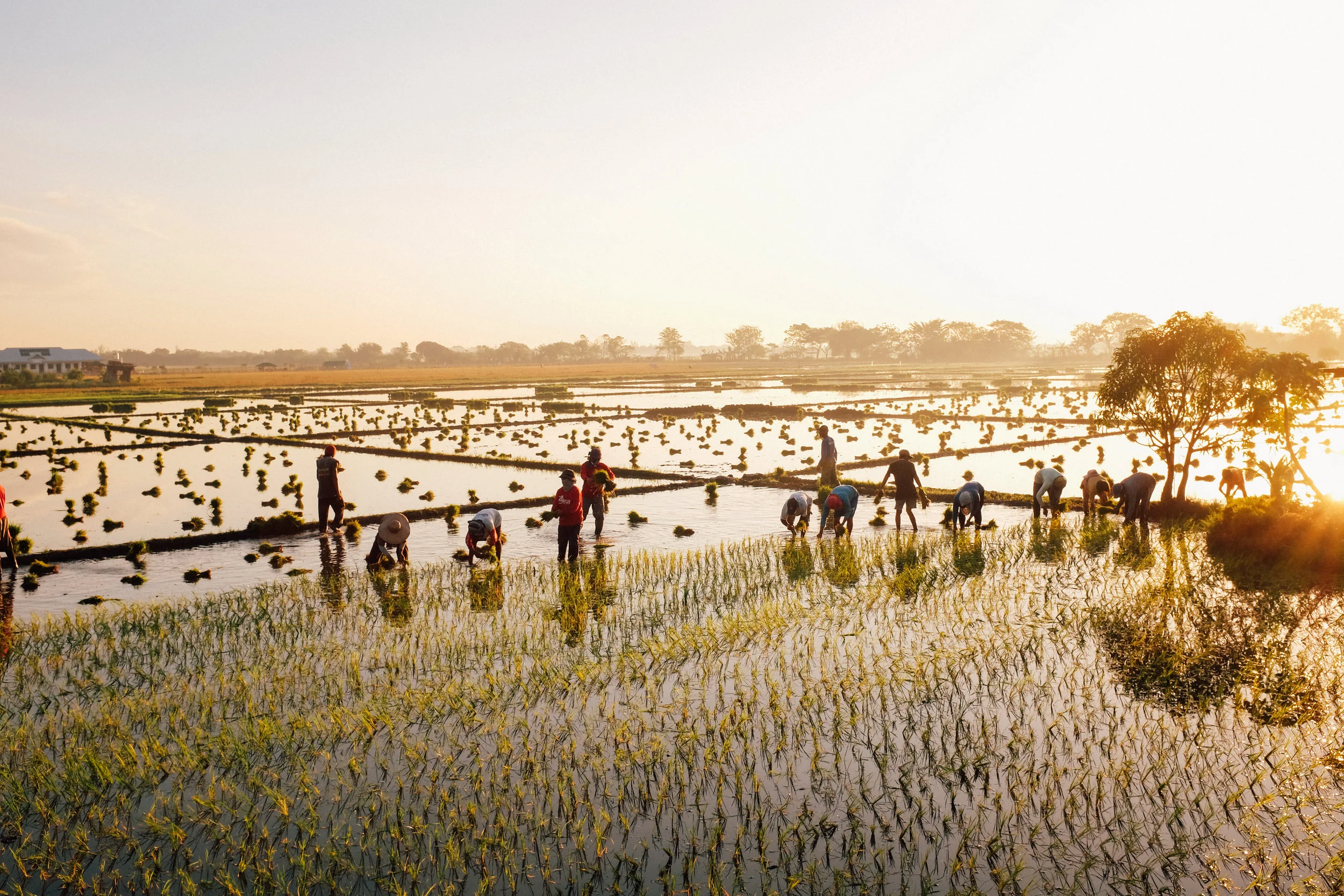  Nueva Ecija, Philippines 
