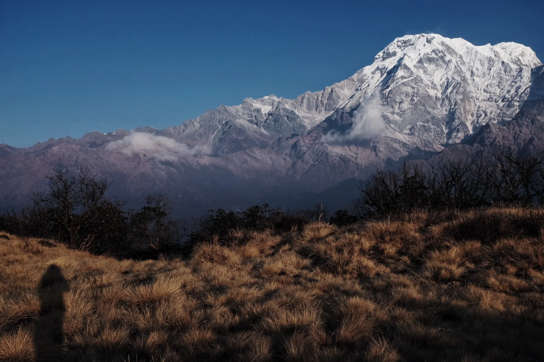  Climbing the Himalayas, 2015. 