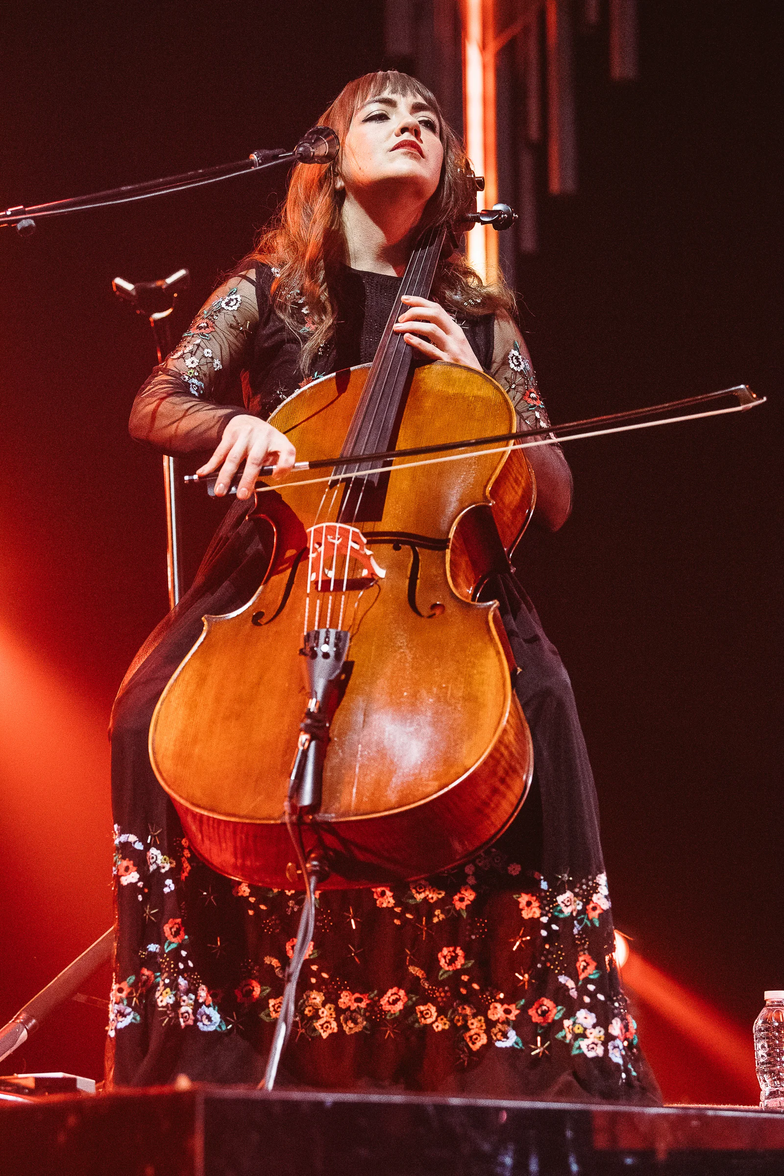 17.01.20 - lumineers rosemont 0114 copy.jpg