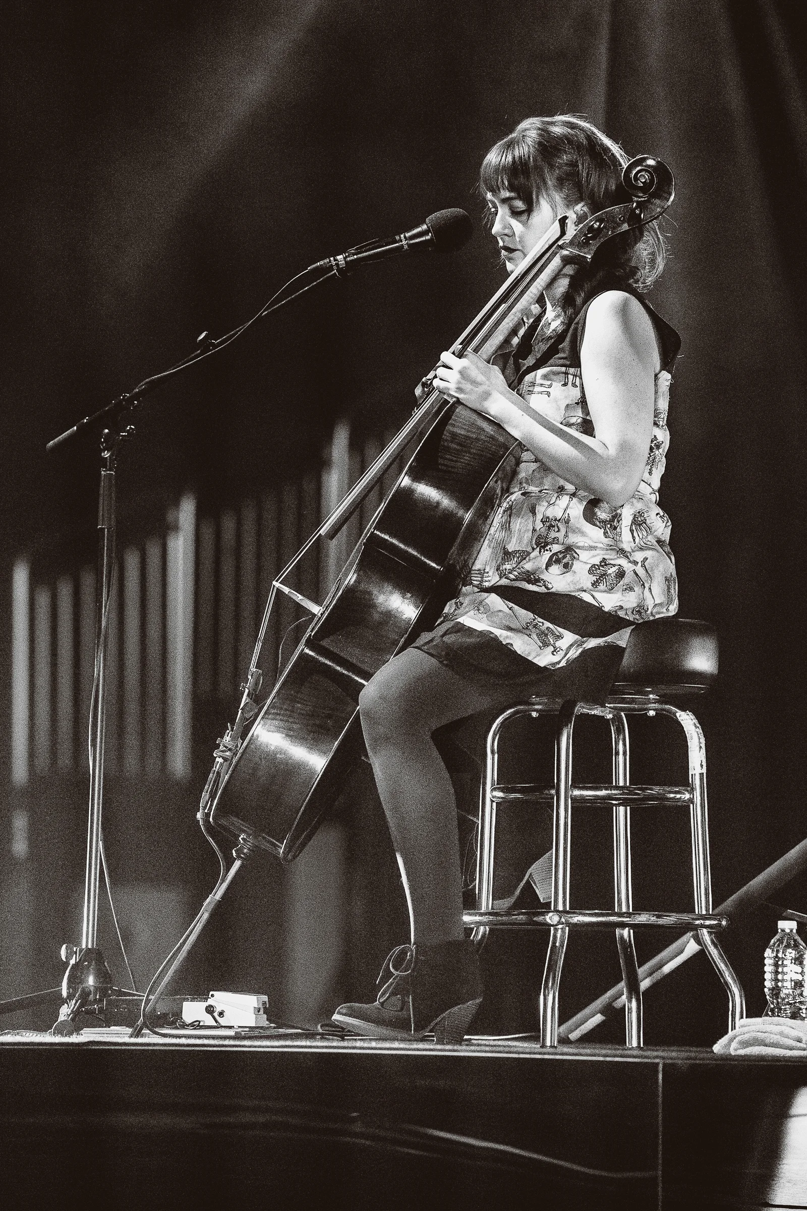 17.01.24 - lumineers KANSAS CITY 0022 copy.jpg
