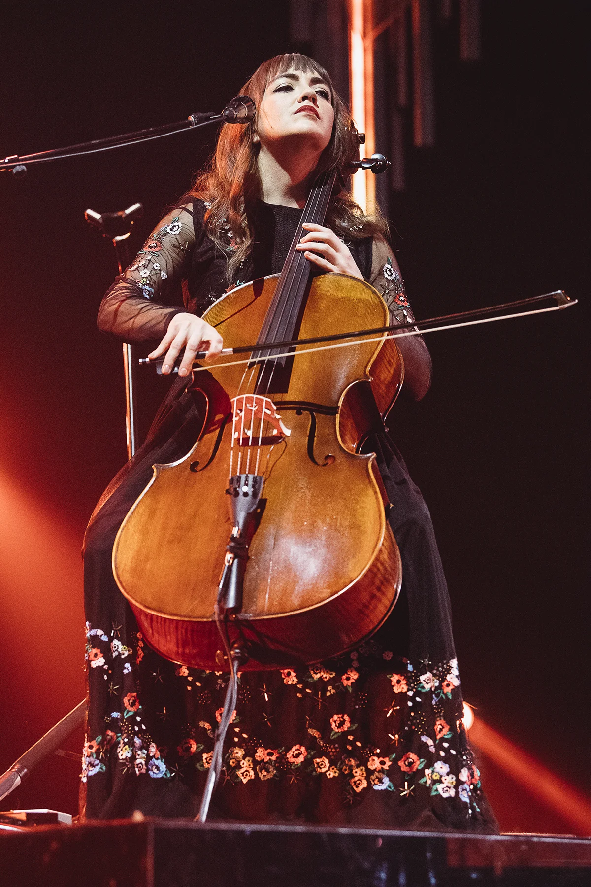 17.01.20 - lumineers rosemont 0114 copy.jpg