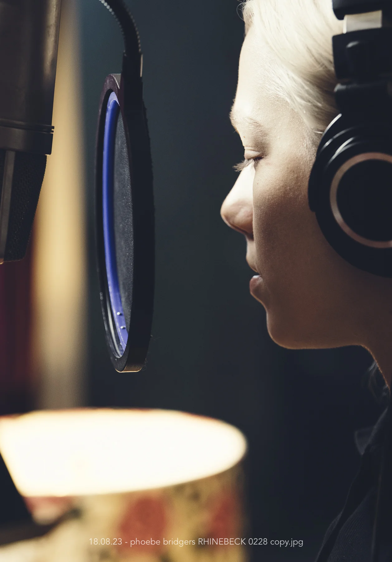 18.08.23 - phoebe bridgers RHINEBECK 0228 copy.JPG