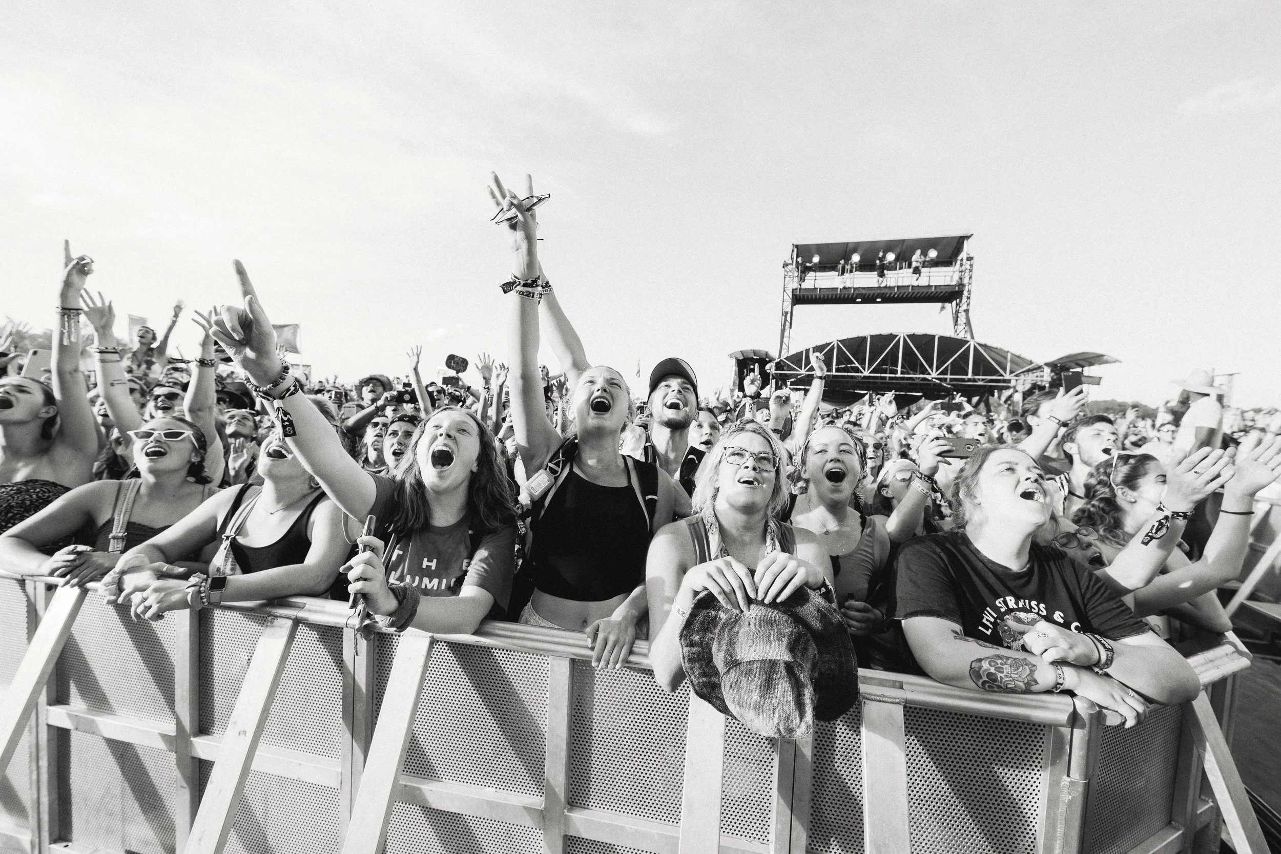 19.06.16 - lumineers - BONAROO 0425 copy.jpg