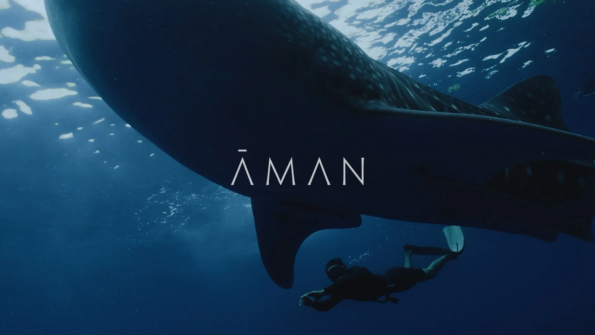 AMAN PORTALS - INDONESIA