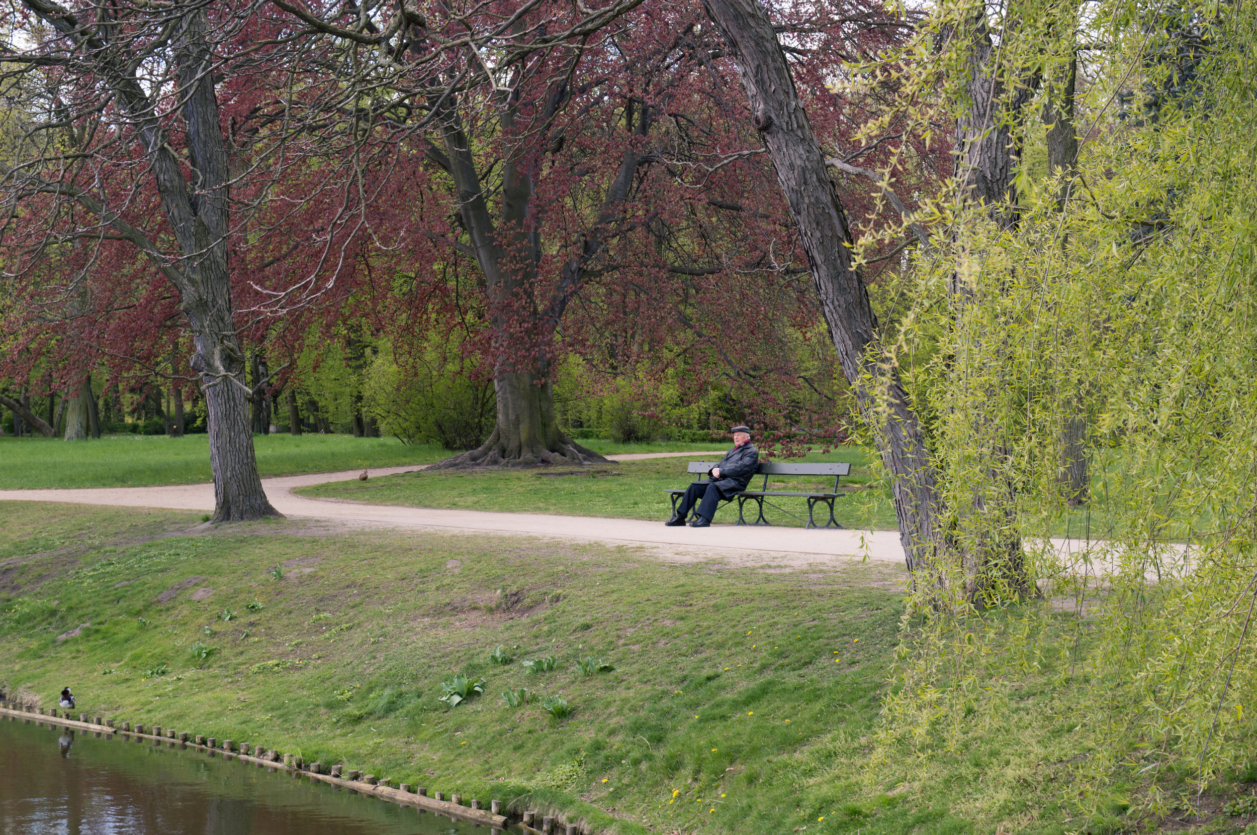 Łazienki Park