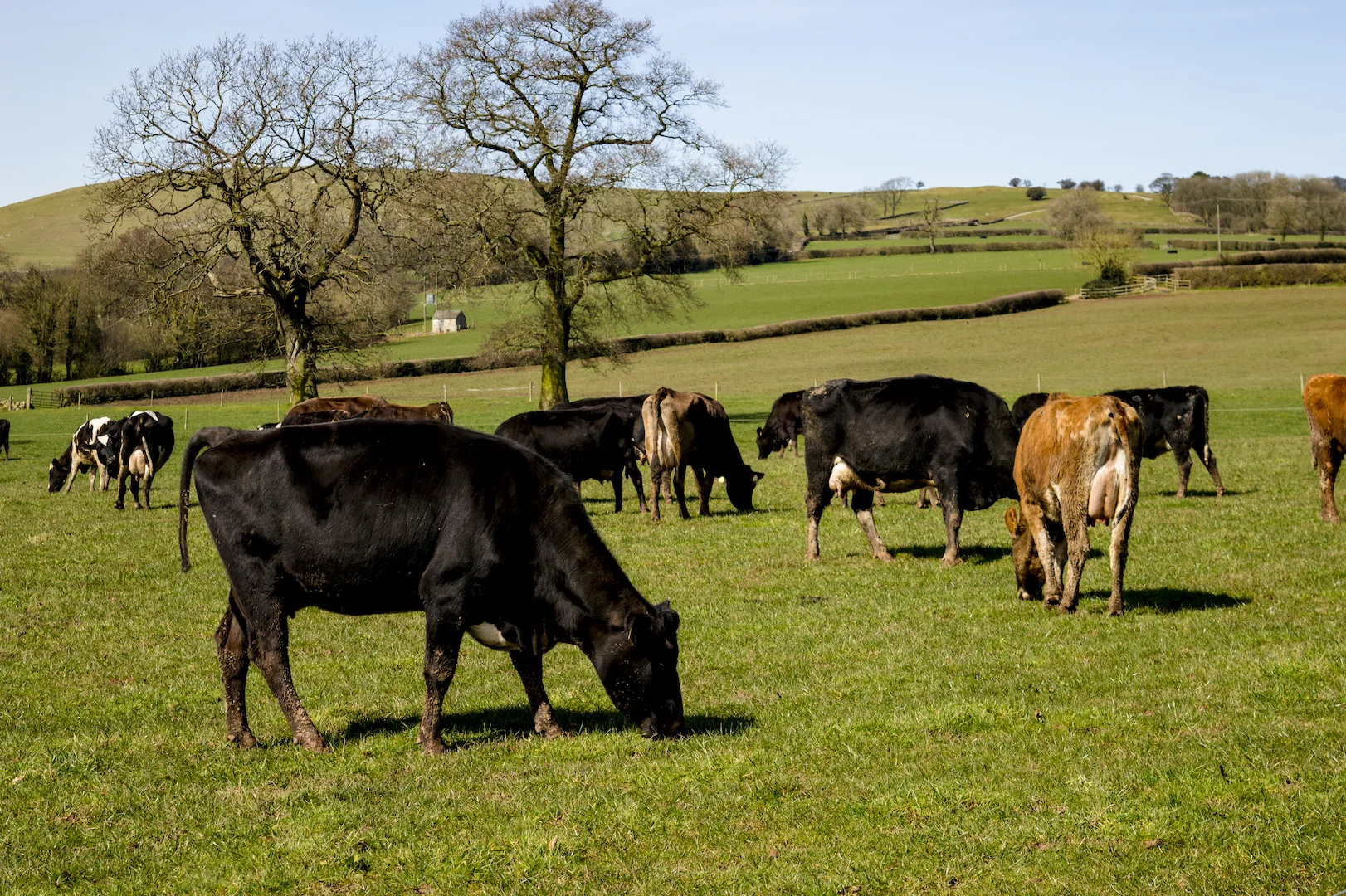 DSC_2174.jpg