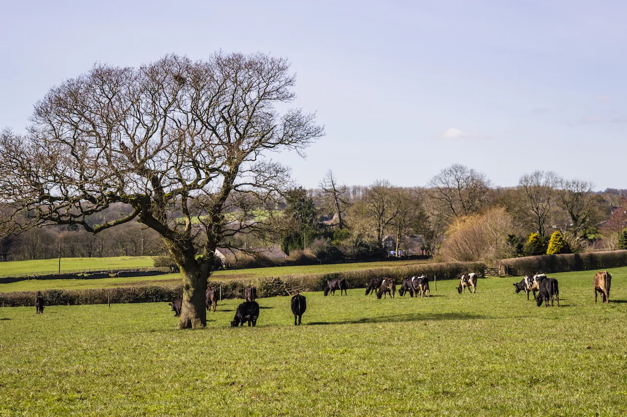 DSC_2177.jpg