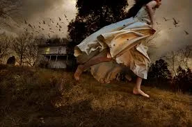 TOM CHAMBERS