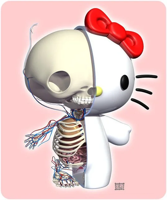 Toy Anatomy Artist Jason Freeny