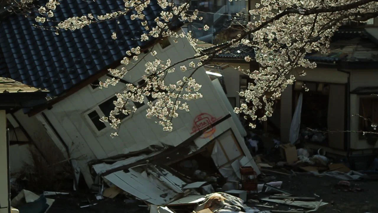 TSUNAMI & THE CHERRY BLOSSOM