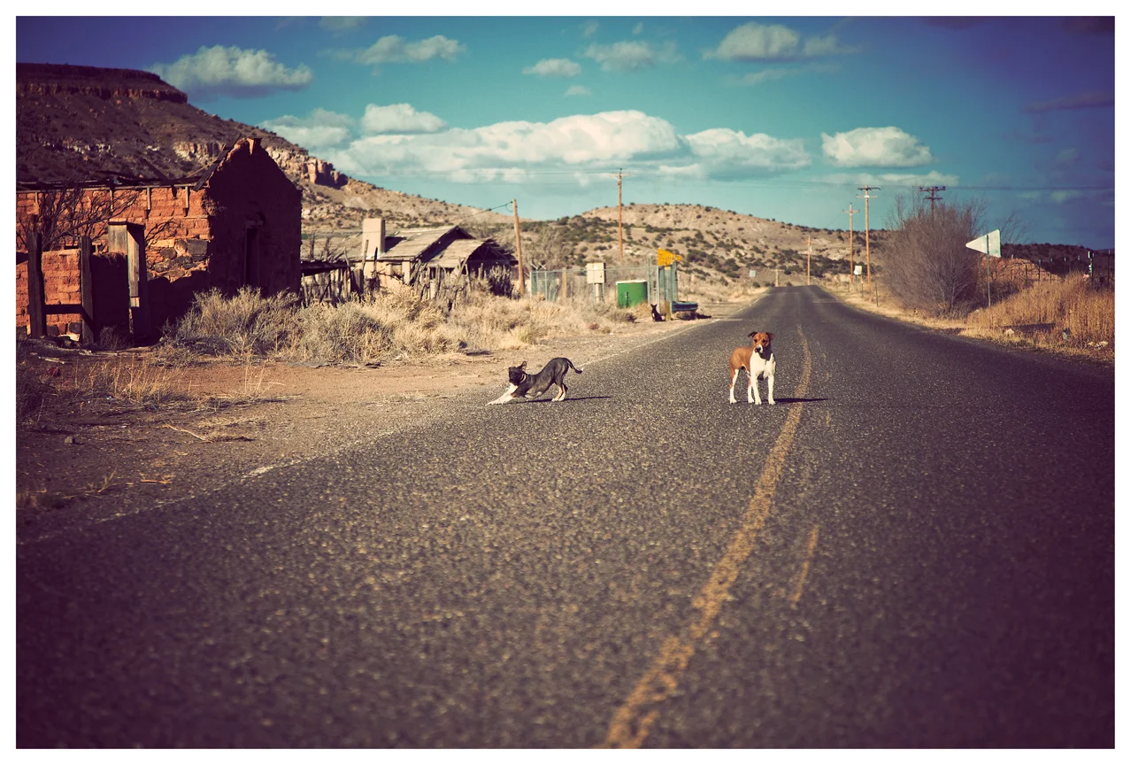 IDRIS + TONY INTERVIEW