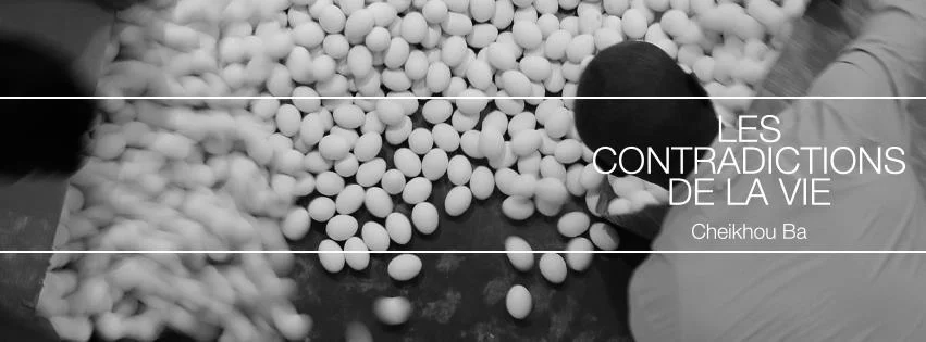 LES CONTRADICTIONS DE LA VIE