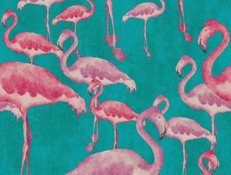 Flamingo-Beach4-1000px-60385aaca52998f63c563135568cf42b