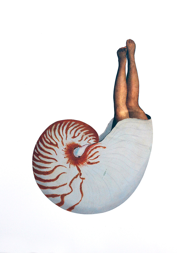 AmyRoss_Sea_Creature_2.jpg